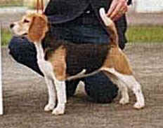 Annie