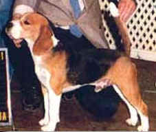 Billy