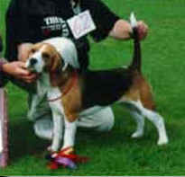 Cool Baby.